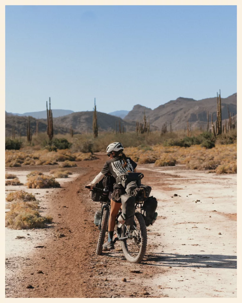Bikepacker sur une piste de terre entre les cactus de la Baja Divide, au Mexique