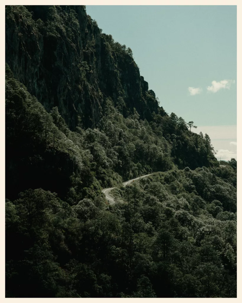 Montagnes boisées et route en lacets sur la TransMexico Norte