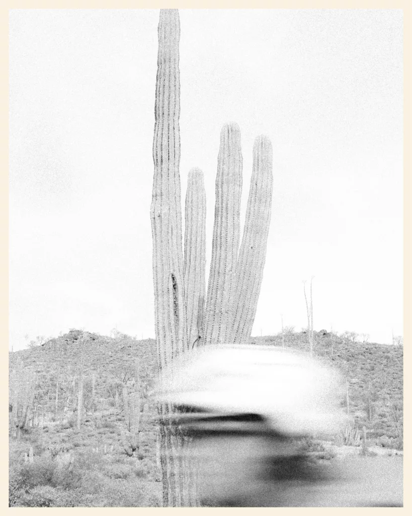 Photo floue d'un cycliste qui passe devant un cactus
